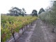 Lot 4 McMurtrie Road, Mclaren Vale SA 5171