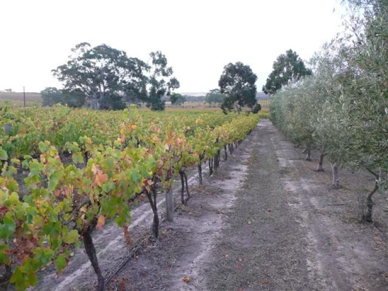 Lot 4 McMurtrie Road, Mclaren Vale SA 5171