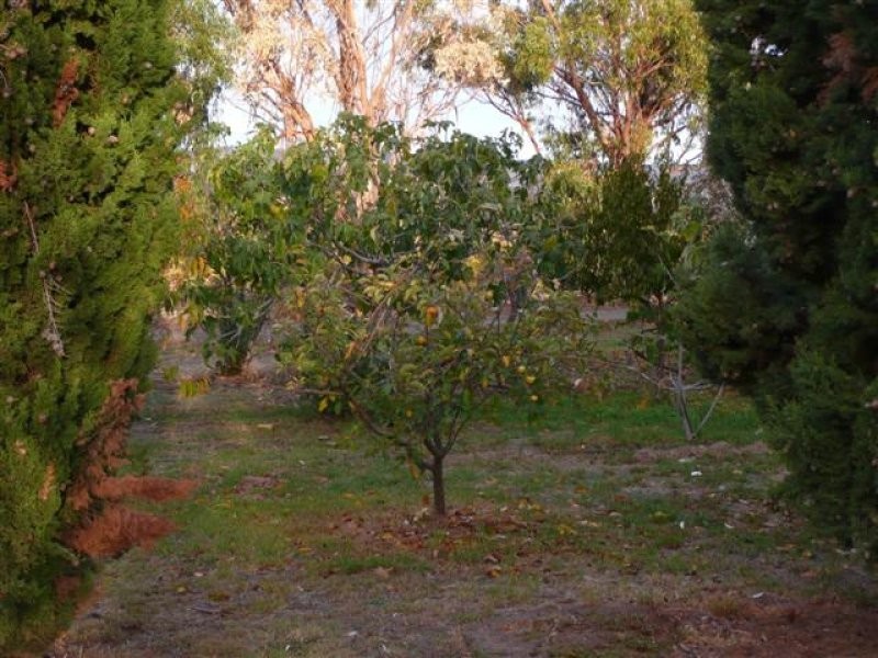 Lot 4 McMurtrie Road, Mclaren Vale SA 5171