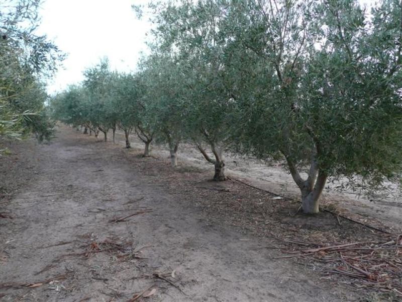 Lot 4 McMurtrie Road, Mclaren Vale SA 5171