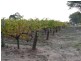 Lot 4 McMurtrie Road, Mclaren Vale SA 5171