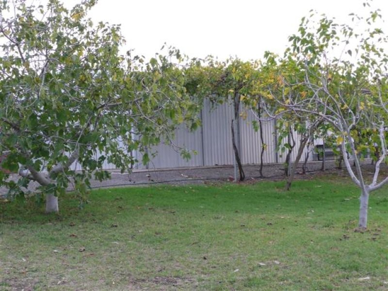 Lot 4 McMurtrie Road, Mclaren Vale SA 5171
