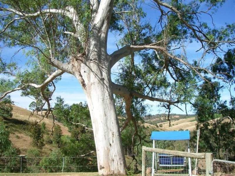 Lot 21 Strickland Road, Kangarilla SA 5157