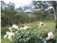 Lot 21 Strickland Road, Kangarilla SA 5157
