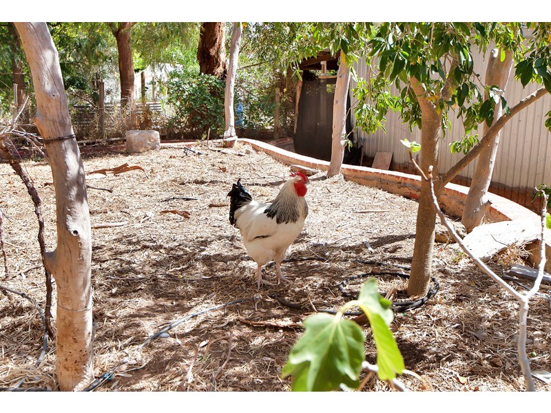 9 St Judes Street, Willunga SA 5172