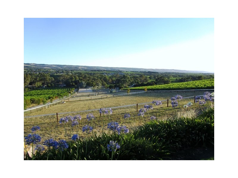 131 Blewitt Springs Road, Mclaren Flat SA 5171