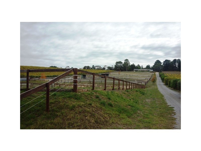 131 Blewitt Springs Road, Mclaren Flat SA 5171