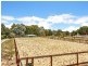 131 Blewitt Springs Road, Mclaren Flat SA 5171