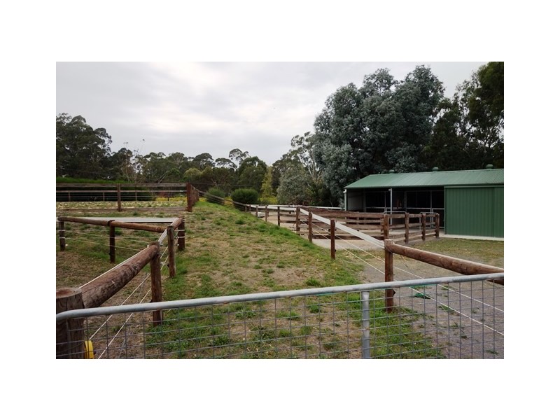 131 Blewitt Springs Road, Mclaren Flat SA 5171