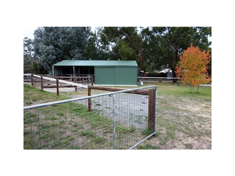 131 Blewitt Springs Road, Mclaren Flat SA 5171