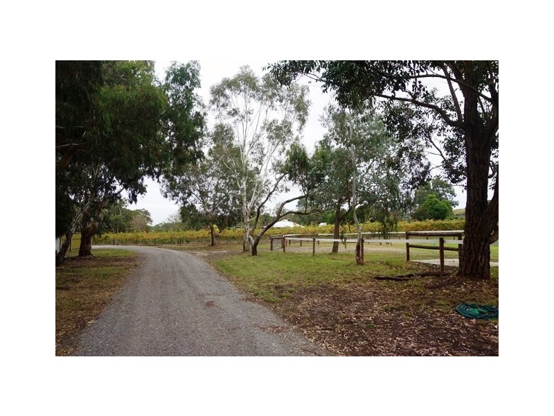 131 Blewitt Springs Road, Mclaren Flat SA 5171