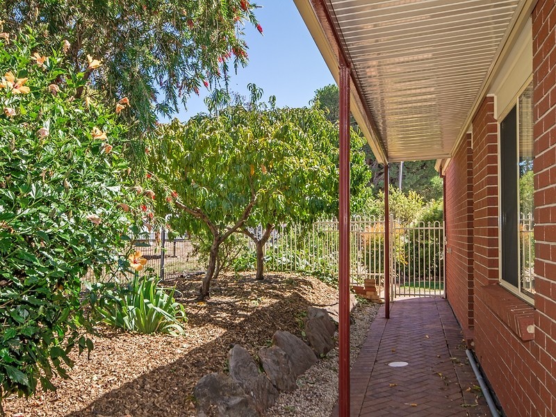 8 Chalk Hill Road, Mclaren Vale SA 5171