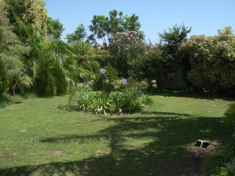 Waikiki WA 6169