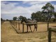 19 Randell Road, Mardella WA 6125