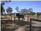 19 Randell Road, Mardella WA 6125