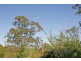 Lot 1/41 Russell Avenue, Wahroonga NSW 2076