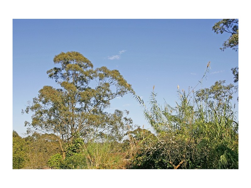 Lot 1/41 Russell Avenue, Wahroonga NSW 2076