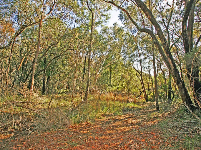 11 Galahad Close, Mount Colah NSW 2079