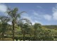 19 Kitchener Street, St Ives NSW 2075