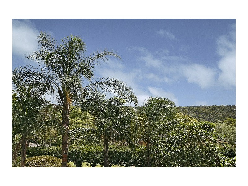19 Kitchener Street, St Ives NSW 2075