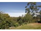 56 Arthurs Circle, Mount Colah NSW 2079