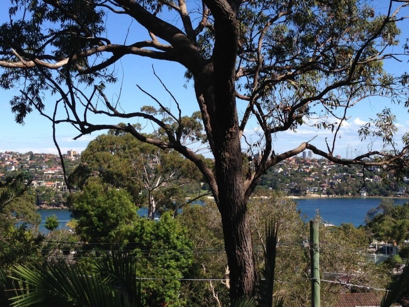 20 Cutler Road, Clontarf NSW 2093