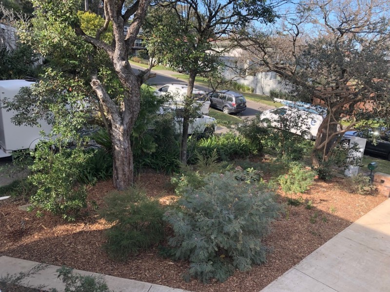 10 Harbour View Street, Clontarf NSW 2093