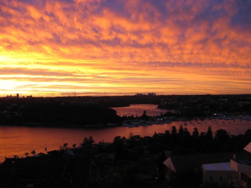 29 Adelaide Street, Balgowlah Heights NSW 2093