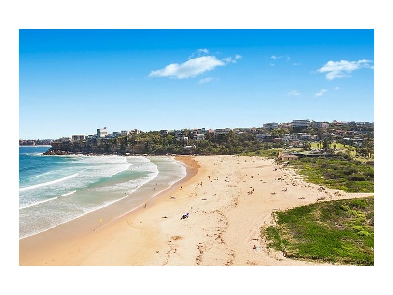 14/75 Evans Street, Freshwater NSW 2096