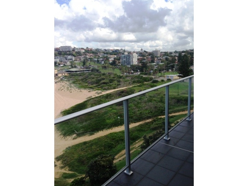 14/75 Evans Street, Freshwater NSW 2096