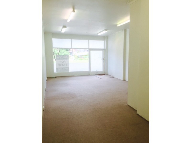 2/20-28 Montauban Ave, Seaforth NSW 2092