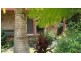 15 Primrose Court, Palmwoods QLD 4555