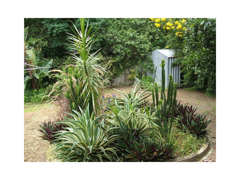 Nambour QLD 4560