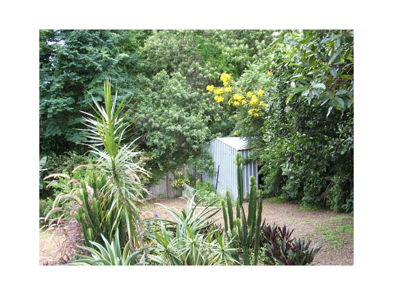 Nambour QLD 4560