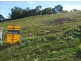 Nambour QLD 4560