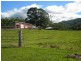 Yandina QLD 4561