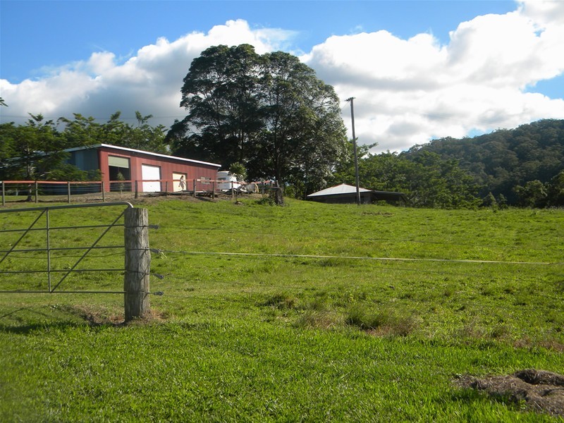 Yandina QLD 4561