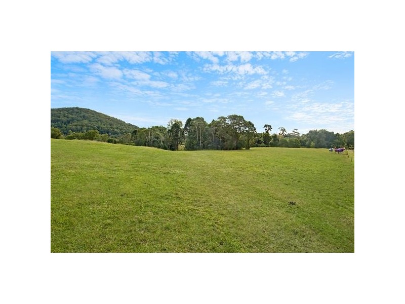 Yandina QLD 4561