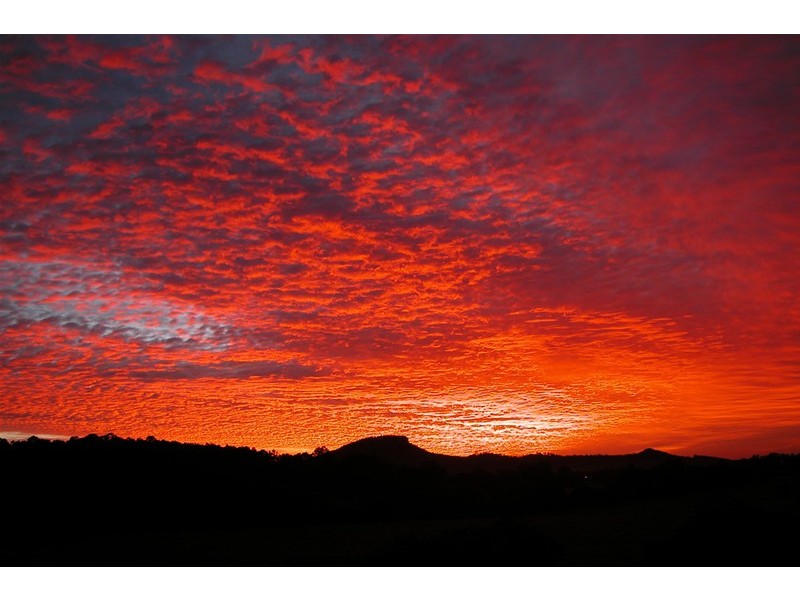 Yandina QLD 4561