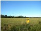 Yandina QLD 4561