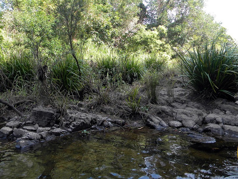 Yandina QLD 4561