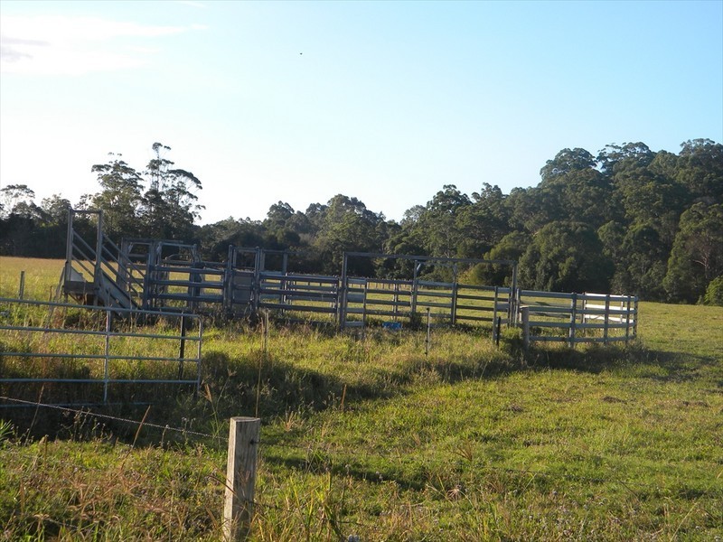 Yandina QLD 4561