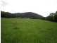 Yandina QLD 4561