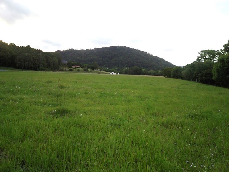 Yandina QLD 4561