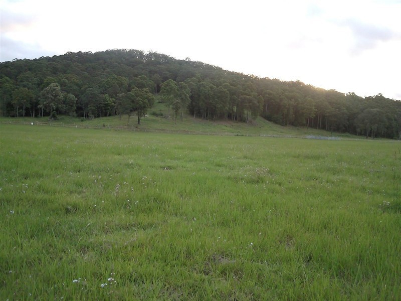 Yandina QLD 4561