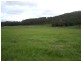 Yandina QLD 4561