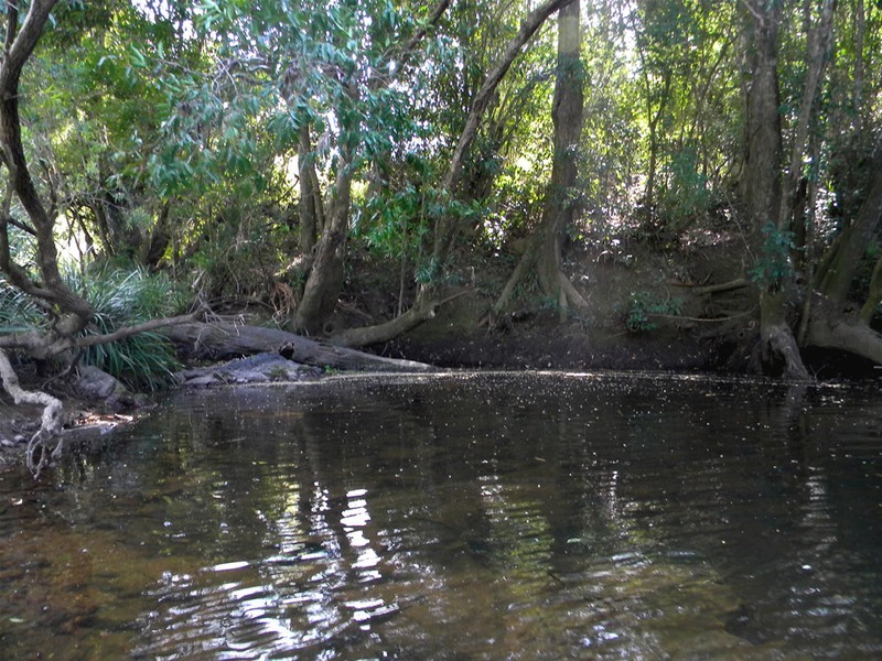 Yandina QLD 4561