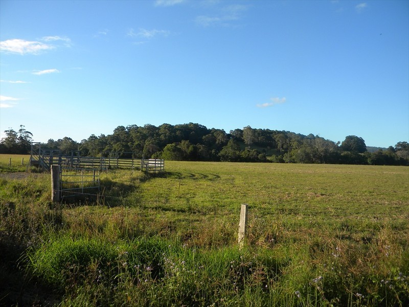 Yandina QLD 4561