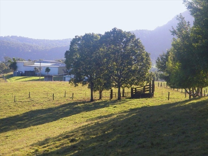 Maroochy River QLD 4561