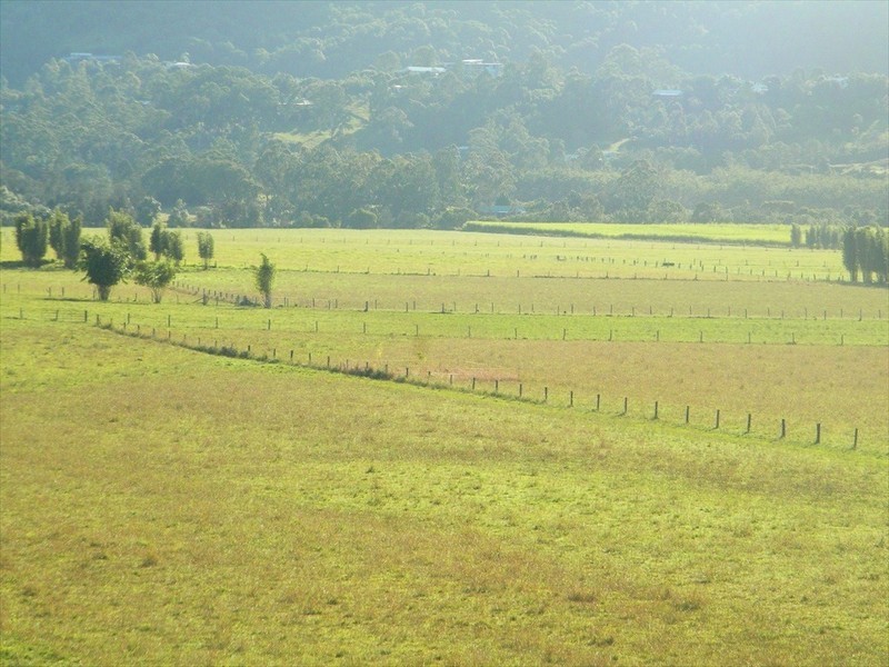 Maroochy River QLD 4561